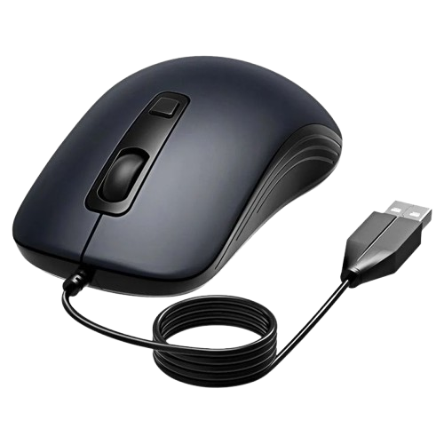 Computer Mouse